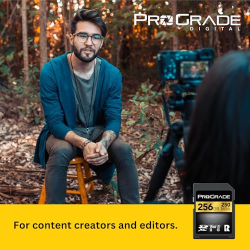 ProGrade Digital V60 256GB