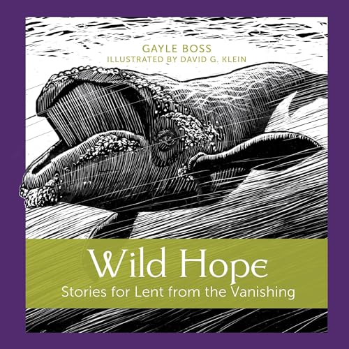 Wild Hope by Gayle Boss episode artwork