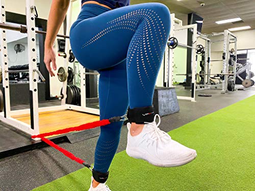 Vpx Power Baseball Softball Home Gym 3.0 | 12Pc Adjustable Lifting System | Replaces Weight, Cable, & Machine Training With Suspension Resistance Power | Men, Women, Boys, Girls | 220 Lbs Resistance #TOP6