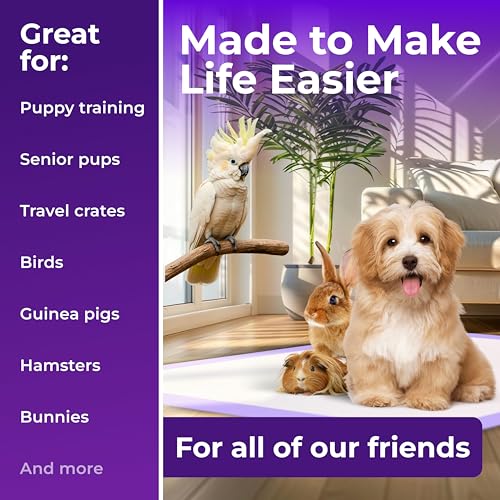 Image of GREEN LIFESTYLE Pee Pads - Super Absorbent & Leak-Proof Pee Pads for Dogs - Puppy Pads - Waterproof Dog Pads, Dog Training Pads for Cats, Rabbits (Pack of 160 - 22x22)