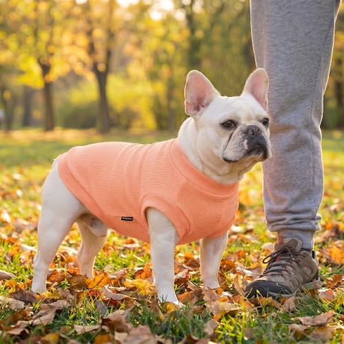 Image of 1 Pack Dog Shirt for Small Supplies Functional Waffle Dog Clothes Warm Soft Sweatshirt Outfit for Dogs Cats Pet Apparel