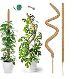 160 cm x 1 Unidad Soporte de Musgo de Coco Flexible Extra Alto | Soporte para Plantas Gigantescas Monstera Orquídeas | Núcleo de Aluminio Resistente