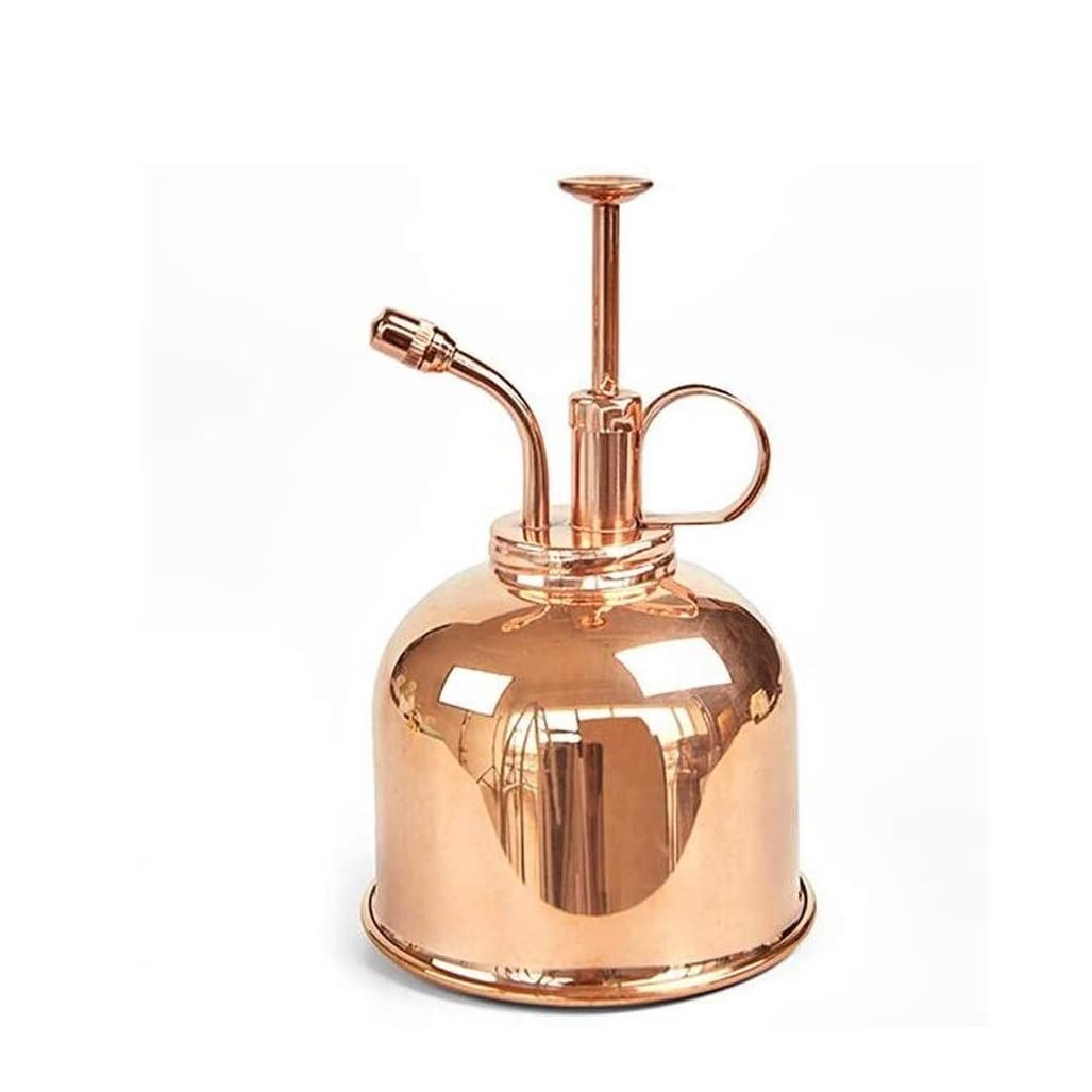 DANNMPX Watering Can Sprinkling Can 300ml Watering Retro Copper Plant Flower Pot Spray Bottle Garden Mister Sprayer Garden Tool(Rose gold)