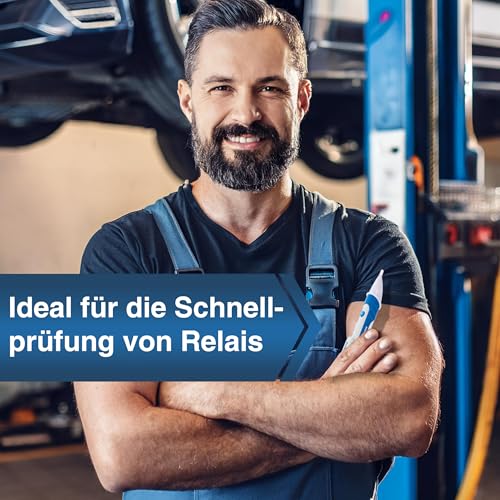PeakTech P 1010 – Magnetfeldprüfer mit LED-Taschenlampe – Zum Prüfen von Relais, Magnetspulen,...
