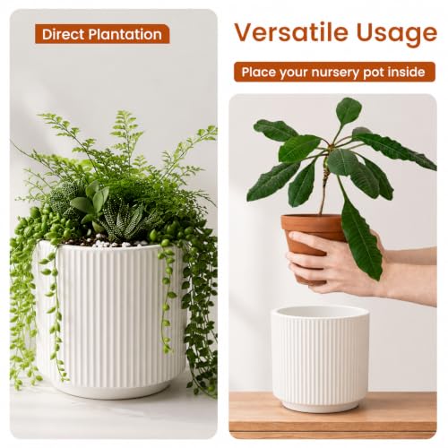 Image of elaris Elegant Ribbed Ceramic Planter for Indoor Plants | Contemporary Textured Flower Pot for Living Room, Bedroom, Office Desk, Shelf & Tabletop Decor (White) 3.74 inch