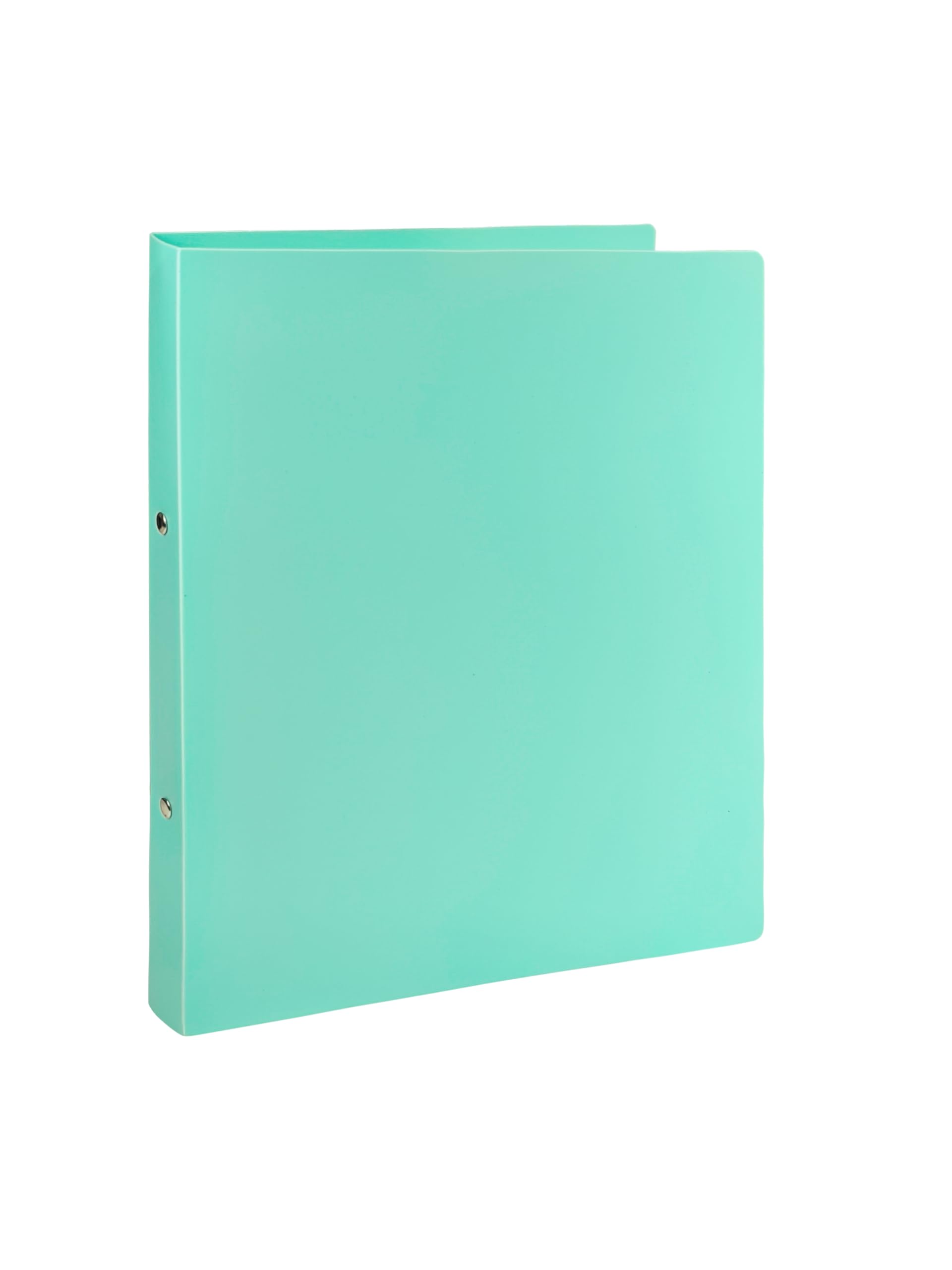 Pack of 10 Pastel Green A4 Ring Binders