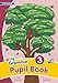 Grammar 3 Pupil Book (In Print Letters): 3 (Jolly Phonics) by Sara Wernham (2014-04-30)