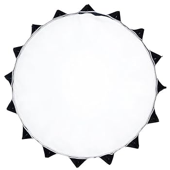 Amazon | Aputure Light Dome II スタジオ リフレクター ソフト