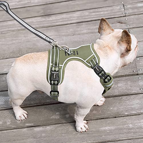 HEELE Hundegeschirr, Zugentlastung, reflektierend, Geschirr für kleine mittelgroße Hunde, mit gepolstertem Griff, 1 Schnalle am rechten Halsband, leicht an- und auszuziehen, Grün, S