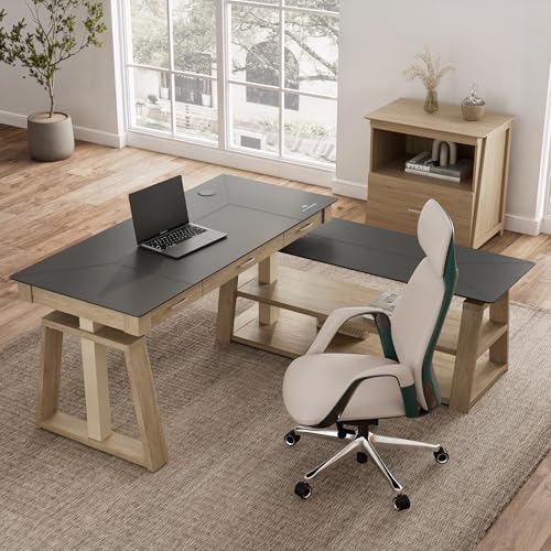Image of EUREKA ERGONOMIC L Shaped Standing Desk Ark EX, 60in Executive Adjustable Height Office Desk with Drawers,Computer Desk with Storage, Modern Executive Home Office,Oak Grey