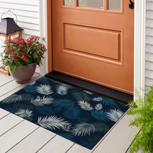 Tapis de Porte Antidérapant et Absorbant Lavable en Machine - 2