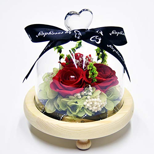         YeenGreen Rosa eterna, Flor Preservada Rosa Eterna Rosa Natural Presevada Rosa Eterna con Luces LED, para Bodas, cumpleaños, día de San Valentín, día de la Madre, Aniversario (3 Rosa)       