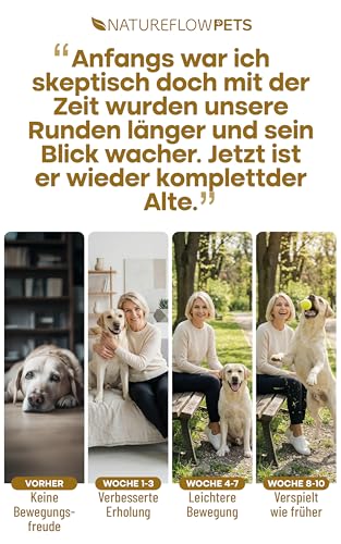 Gelenktabletten Hunde – Test SEHR GUT Made in Germany mit Grünlippmuschel, MSM und Teufelskralle - Keine Kapseln, hohe Akzeptanz Gelenktabletten Hund - 100 Stück