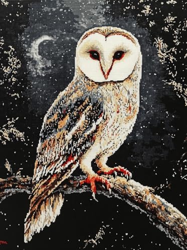 DIY Cross Stitch Kit for Beginners Owl with White and Black Feathers Perched on Branch 11CT Embroide