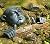 Aquascape 78315 Face and Hands Pond and Garden Water Fountain, Patina