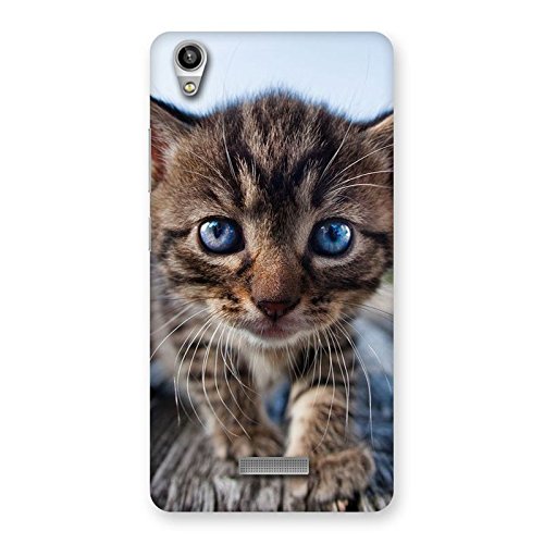 Goosbery Blue Eye Cat Back Cover For Lava Pixel V1 Amazon.in Electronics