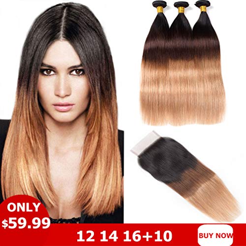Brazilian Ombre Bundles with Closure Straight Human Hair 3 Bundles 10A Grade Virgin Human Hair Weave with Free Part Lace Closure (12 14 16 +10, 1B#/4#/27#)