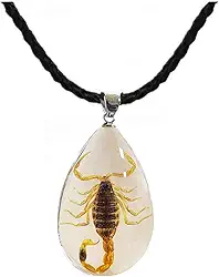 Colar de escorpião preto de resina para mulheres e homens, amostra de escorpião real inserida dentro de resina oval transparente, presente de Natal ou aniversário para amigos