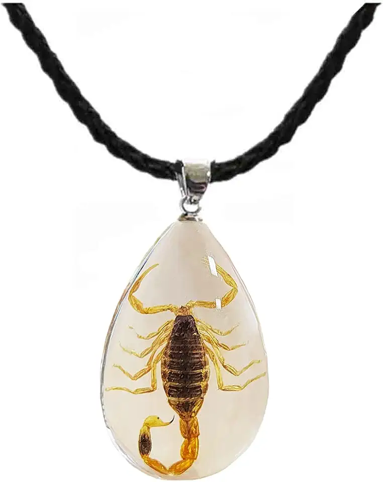 Colar de escorpião preto de resina para mulheres e homens, amostra de escorpião real inserida dentro de resina oval transparente, presente de Natal ou aniversário para amigos