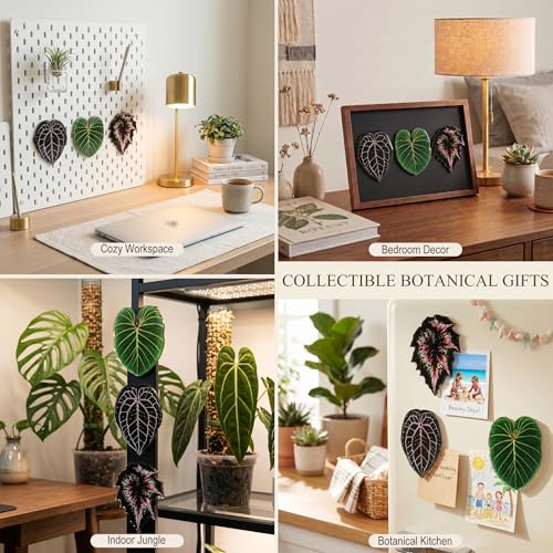 Set de 3 Imanes Decorativos en Forma de Hoja miniatura 7