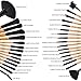 Beige Makeup Brush, Yuwaku 32pcs Wooden Make Up Brushes Set, Premium Synthetic Soft Bristles Kabuki Foundation Powder Eyeshadow Eyeliner Blush Concealer Brush Kit with Nylon Bag
