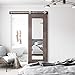 SMARTSTANDARD 5 Feet Top Mount Sliding Hardware Kit-Stainless Steel Heavy Duty Sturdy Barn Track-Simple and Easy to Install-Fit 30“ Wide Door Panel (T Shape Hanger)