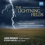  The Lightning Fields