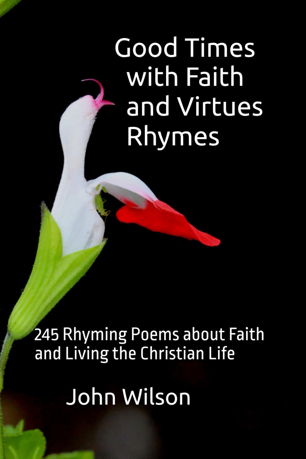 Good Times with Faith and Virtues Rhymes: 245 Rhyming Poems about Faith and Living the Christian Life