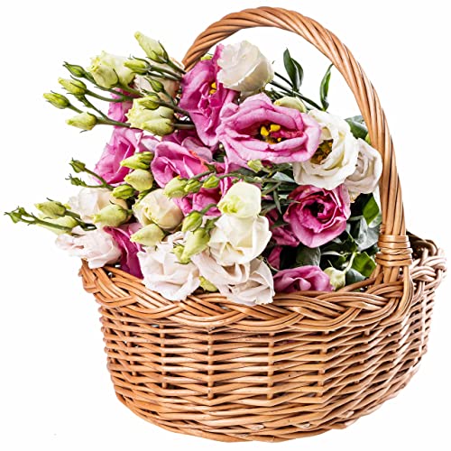 Creative Home Kleine Picknickkorb Weidenkorb mit Henkel Einkaufskorb | 30 x 27 x 24 cm (+/- 1 cm) | Groß und Leicht | Naturbraun | Handgeflochten | Universell und Langlebig Osterkörbchen Geflochten Cover