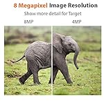 GW Security 8 Channel NVR UltraHD 4K Face Recognition NDAA & TAA Compliant Security Camera System with 8 x 8MP @25FPS Outdoor & Indoor PoE Turret Cameras, 10 Smart AI Functions - Image 4