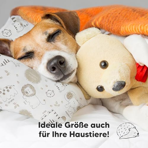 Kopfkissen Kleinkind mit Kissenbezug - Weich Bio Baumwolle Kissen Kinder zum Schlafen - Waschbar Kleinkind Kopfkissen - Kinderkopfkissen für Kleinkinder (KeaSafari)