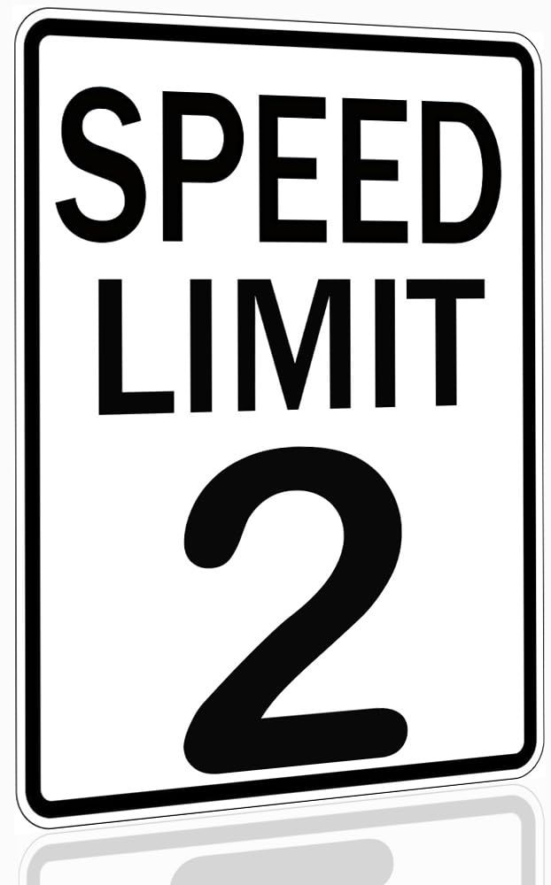 Speed Limit 2 Sign Two Fast Birthday Decor 2 Fast Birthday Decorations Funny Vintage Metal Signs 8x12 Inch