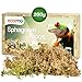 easimo | Sphagnum Moos für Pflanzen & für's Terrarium 200g I Moos für Orchideen Terrarien und andere Zimmerpflanzen I Lebendes Torfmoos Peat Moss Lebend 2 günstig Kaufen-easimo | Sphagnum Moos für Pflanzen & für's Terrarium 200g I Moos für Orchideen Terrarien und andere Zimmerpflanzen I Lebendes Torfmoos Peat Moss