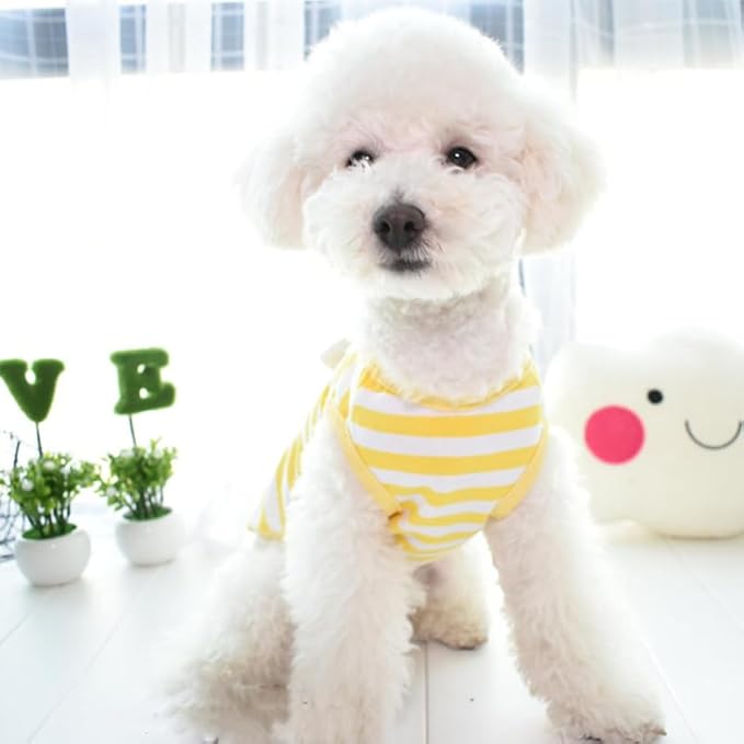 Chaleco para perros POPETPOP talla XL con patrón de huevos rayado miniatura 2