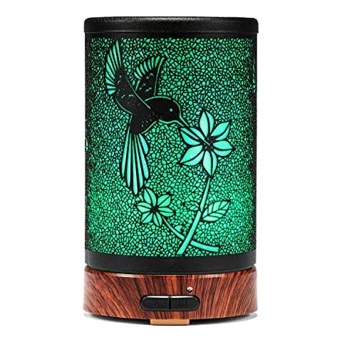 Diffusers for Essential Oils,ASAWASA Essential Oil Diffuser with Waterless Auto Shut-Off, Metal Art Aromatherapy Humidifier with Multi color Changed Night Light,Ideal for Home Spa Yoga (Hummingbird) Cover