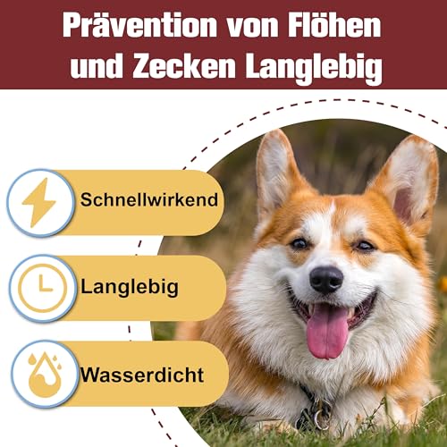 Advanllent Zeckenschutz für Hunde 6 Pipetten, Spot On Zeckenmittel für Extra große Hunde 30 bis 50 kg, Flohmittel Entwurmungsmittel, Gegen Flöhe & Zecken