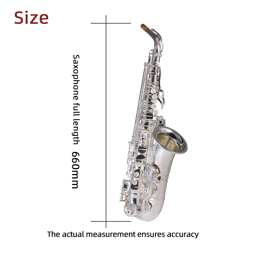 Rollins Saxophone alto RSA-X6,E flat Selmer 54-Key,Brass Material,Silver
