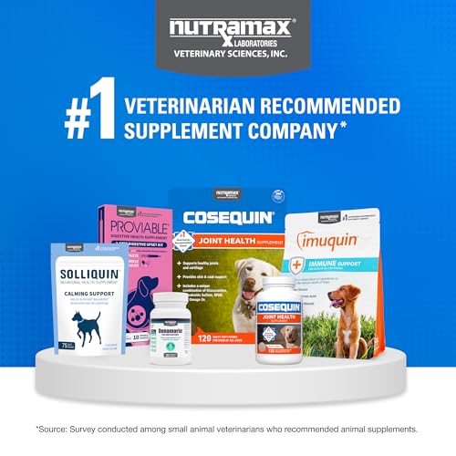 Nutramax Cosequin Dog Joint Supplement for Senior Dogs, Soft Chews, 120ct - image 8