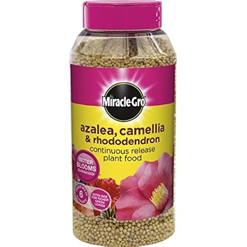 Miracle-Gro Azalea, Camellia & Rhododendron Food Cover