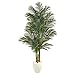 6ft. Golden Cane Artificial Palm Tree in White Planter