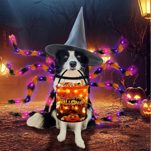 2 Stück Halloween Kürbis Candy Bag,Halloween Süßigkeiten Tasche,Led Leuchtend Kinder Süßigkeiten Eimer,Leuchtend Süßigkeitentüten Tasche,Geschenktasche,Portable Candy Bag Eimer für Kinder Party