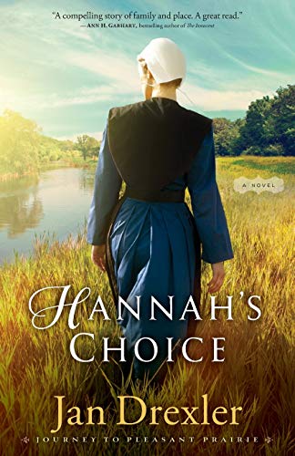 Hannah's Choice: A Novel