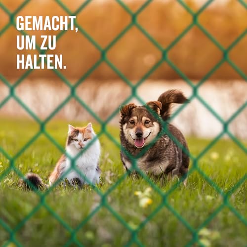 Alberts 604769 Maschendraht-Geflecht | verschiedene Längen und Höhen - wahlweise in verschiedenen Farben | grün | Höhe 125 cm | Länge 25 m