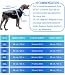 Hundemantel Wendbare, wasserdichte, mit abnehmbarem Geschirr-Design und gefaltetem Pelzkragen Kein Ziehen, kein Ersticken, kuschelige Kleidung bei kaltem Wetter für und große Hunde (6XL)