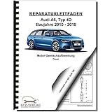  Audi A6 Typ 4G (10-18) TDI Einspritz/Vorgluhanlage 2,0l 4-Zyl. Reparaturanleitung