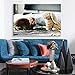 NWT Custom Canvas Prints with Your Photos for Pet/Animal, Personalized Canvas Pictures for Wall to Print Framed 11x14 inches