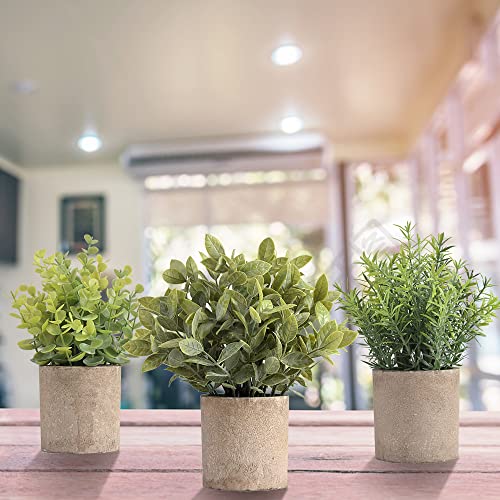 homEdge-Artificial-Mini-Potted-Eucalyptus-3-Packs-Artificial-Plastic-Plant-Greenery-with-Pot-for-Home-Office-Desk-Decoration