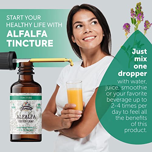 Florida Herbs Alfalfa Tincture, Organic Alfalfa Extract (Medicago Sativa) Dried Leaf thumb #1
