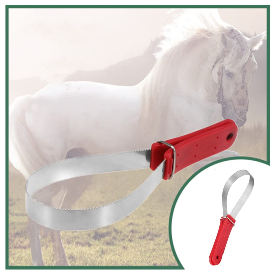 Raschietto Sudore Cavalli In Acciaio Inox - Per Pulizia E Deshedding, 29.5 Cm, Con Presa Comoda