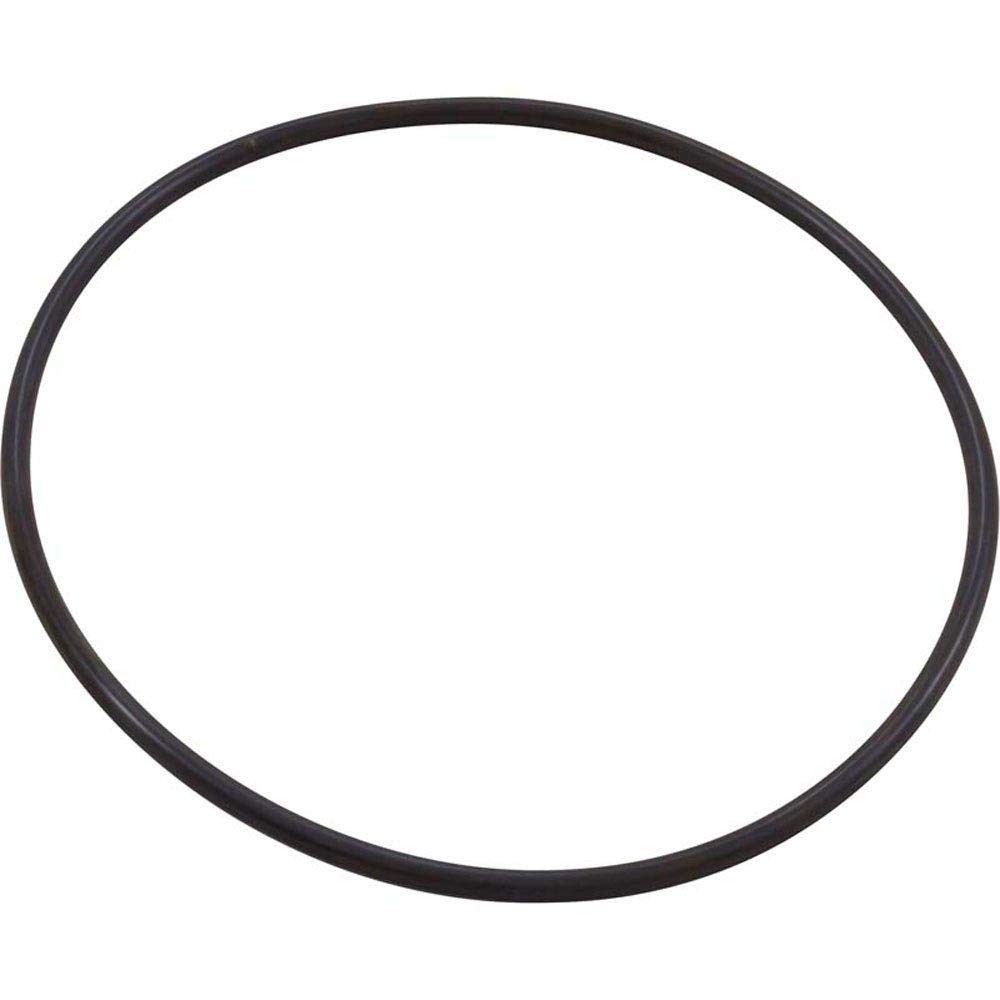Amazon.com: PENTAIR WATER POOL AND SPA 351446 Seal Plate Ring for